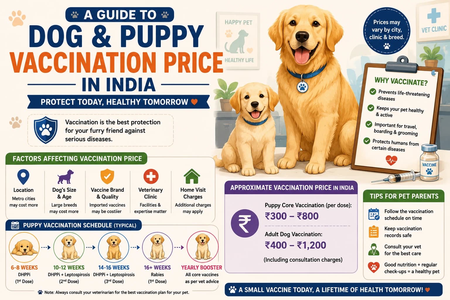 Animated infographic showing dog and puppy vaccination prices in India, vaccination schedules, cost factors, and pet care tips.