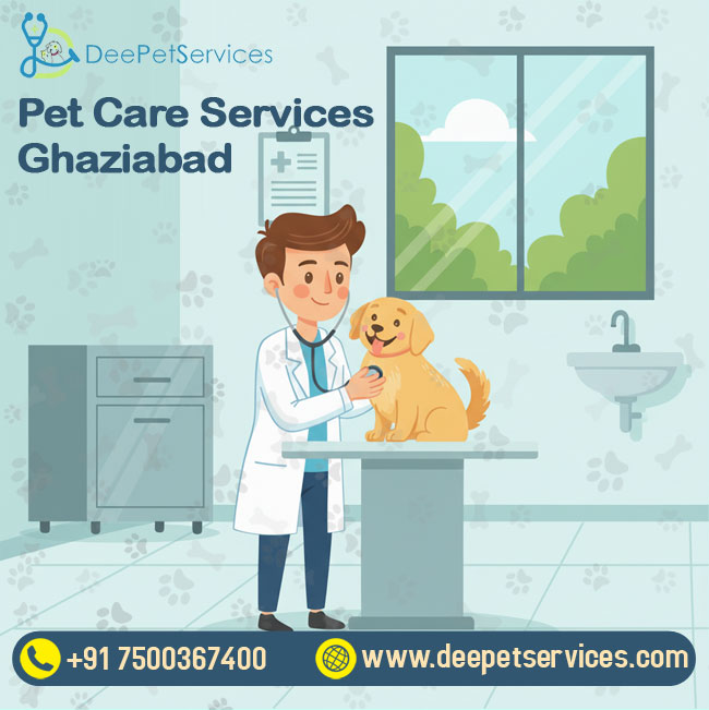 Pet Care Services in Ghaziabad